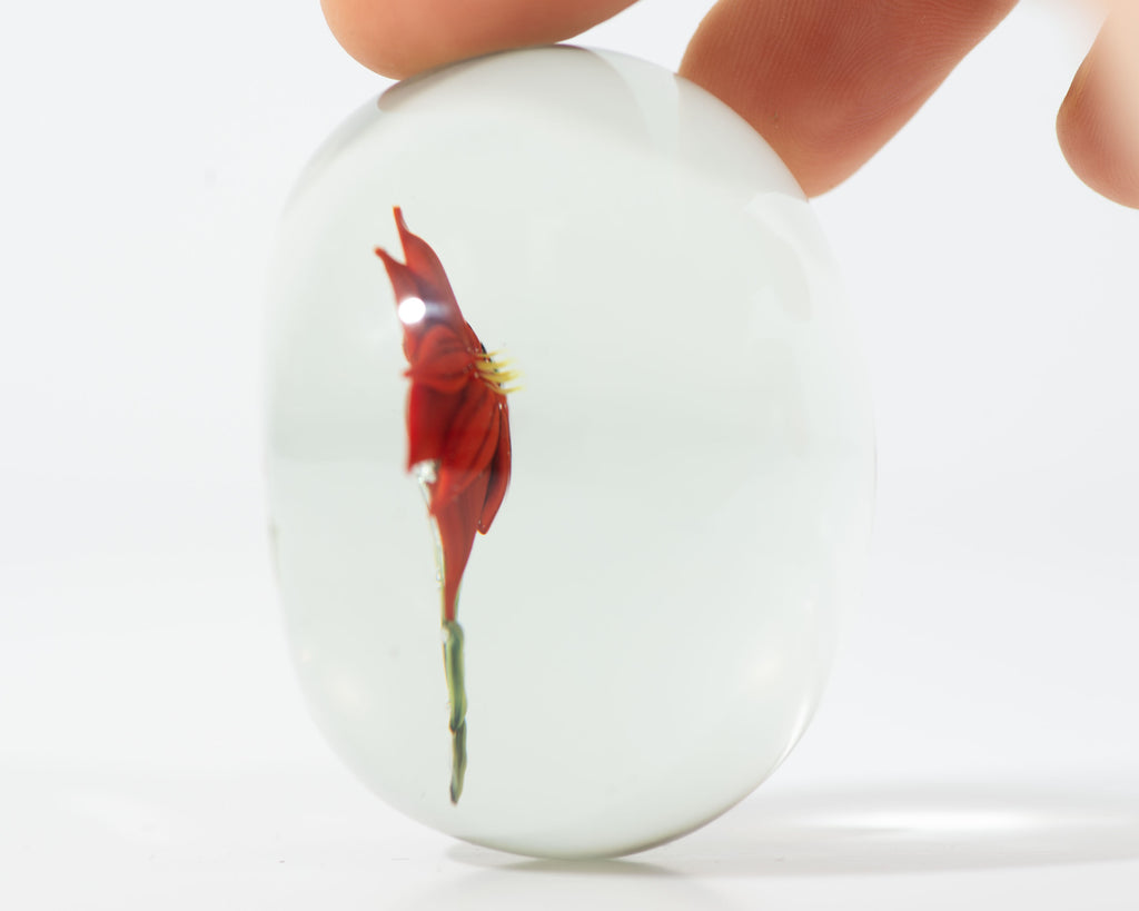 Paul Stankard 1972 Art Glass Red Flower Paperweight