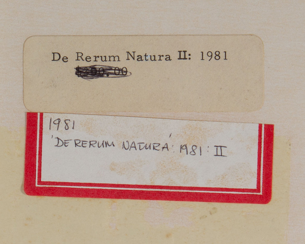Gerald Boyce Signed 1981 “De Rerum Natura II” Mixed Media Drawing