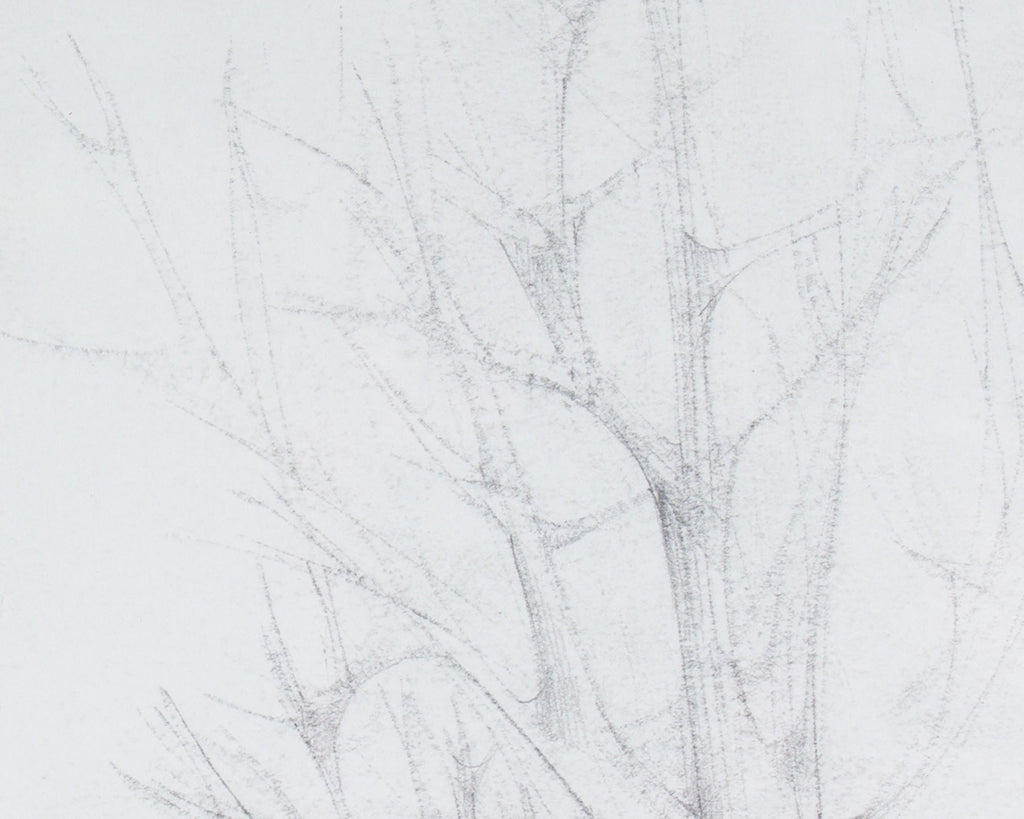 Gene Szafran Signed 1959 Graphite Drawing of Trees