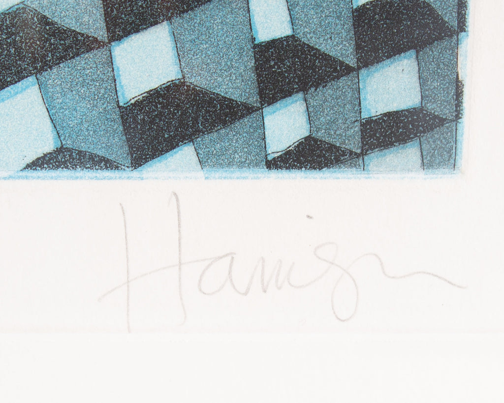 Michael Harrison Signed 1991 “Vertigo II” Limited Edition Aquatint