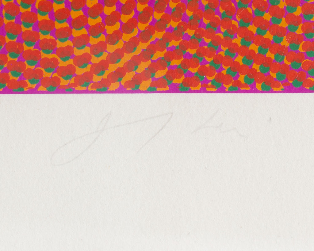 Josef Alan Levi Signed 1969 “N-GRBR” Op Art Serigraph