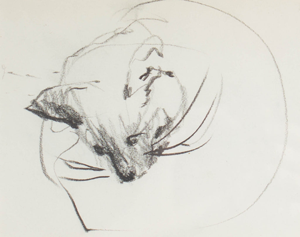 James L. Bruch Abstract Charcoal Drawing of a Cat