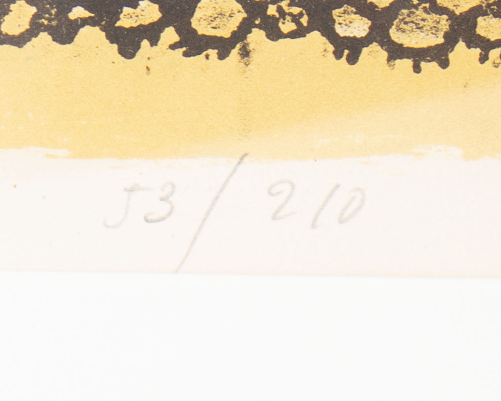 Agustín Úbeda Signed Limited Edition Lithograph