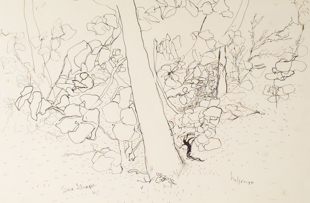 Harry Hilson 1961 “Sea Grape” Ink Drawing