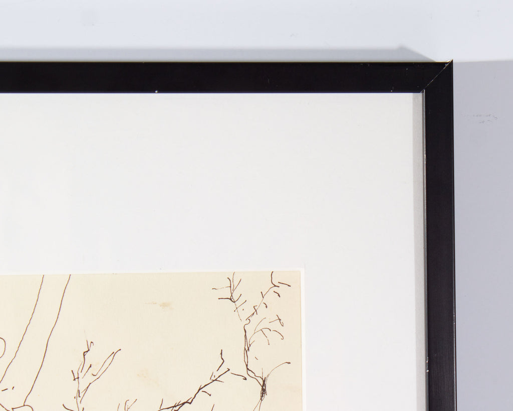 Harry Hilson 1961 “Sea Grape” Ink Drawing