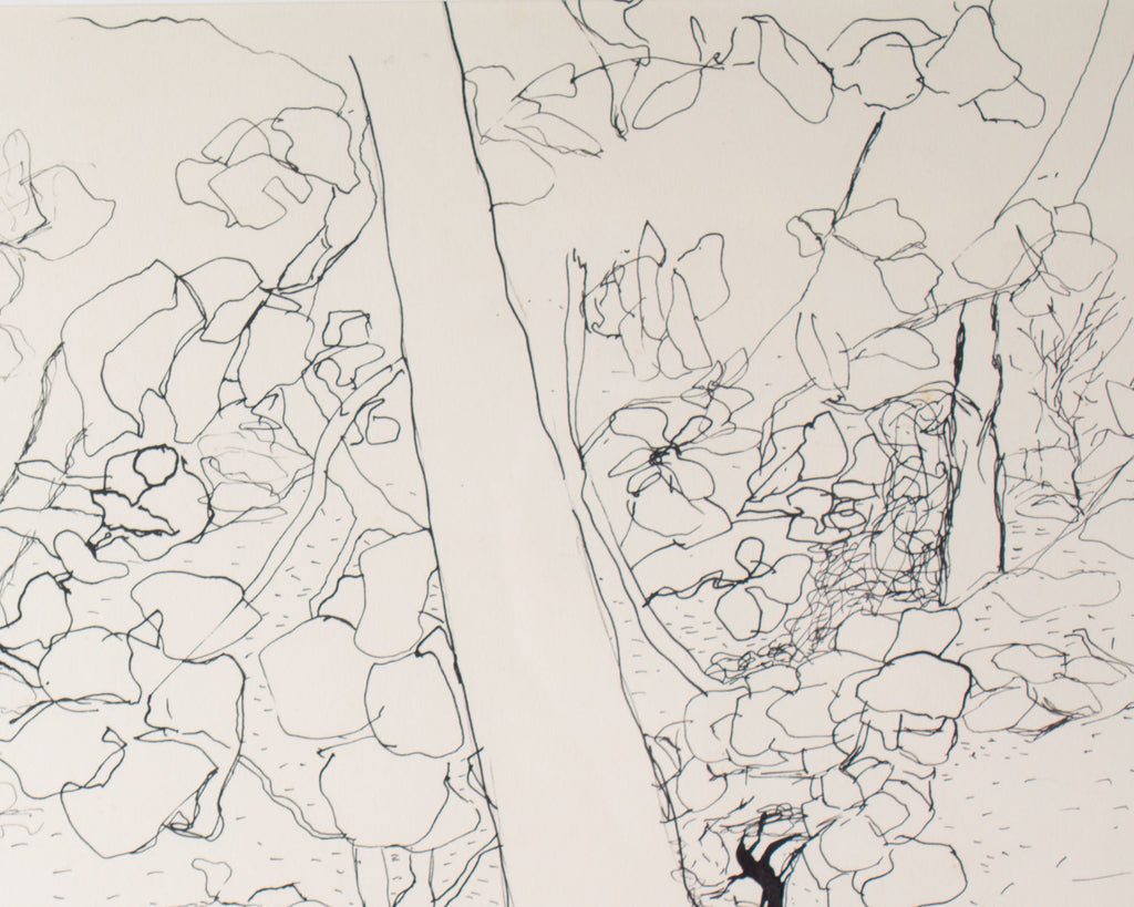 Harry Hilson 1961 “Sea Grape” Ink Drawing