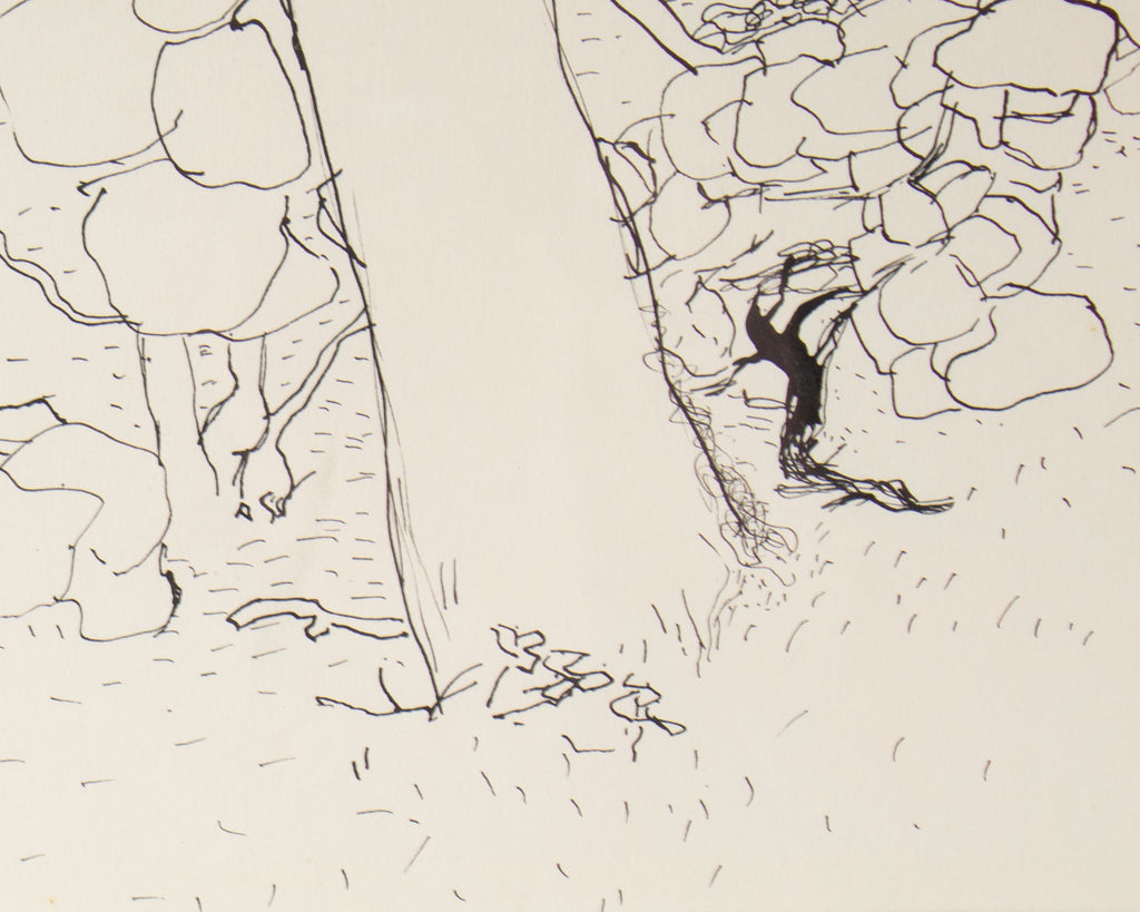 Harry Hilson 1961 “Sea Grape” Ink Drawing