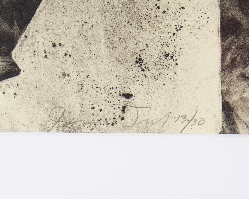 James Drake 1989 “Fun Gun Laser” Lithograph
