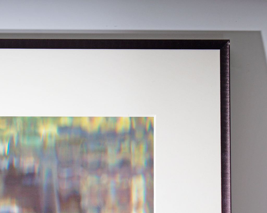 Bruce Checefsky 2011 “Allium Afatunese” Archival C-Print Photograph