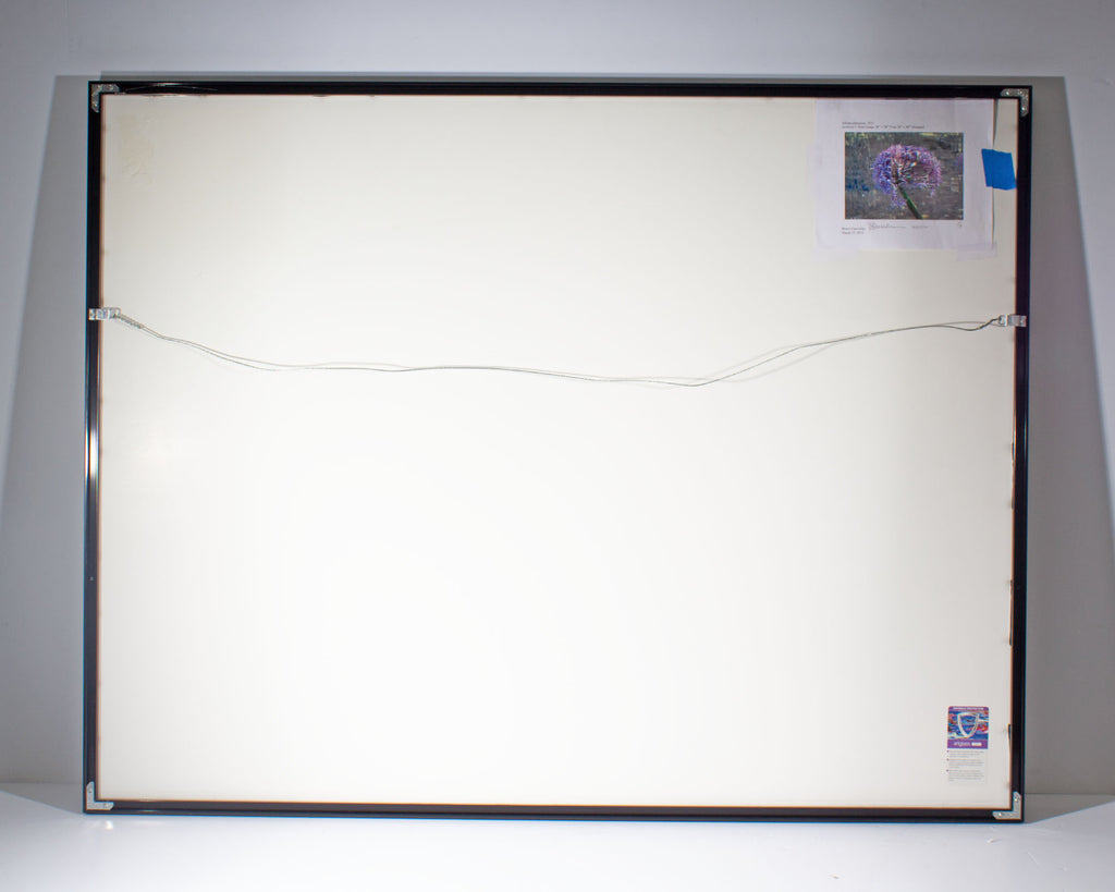 Bruce Checefsky 2011 “Allium Afatunese” Archival C-Print Photograph