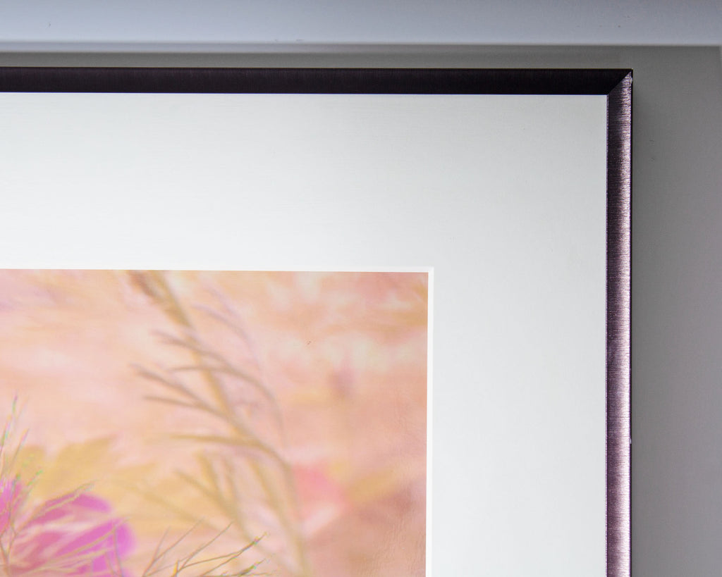Bruce Checefsky 2011 “Wild Geranium - Geranium Maculatum” Archival C-Print Photograph