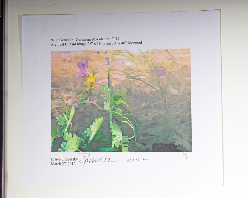 Bruce Checefsky 2011 “Wild Geranium - Geranium Maculatum” Archival C-Print Photograph