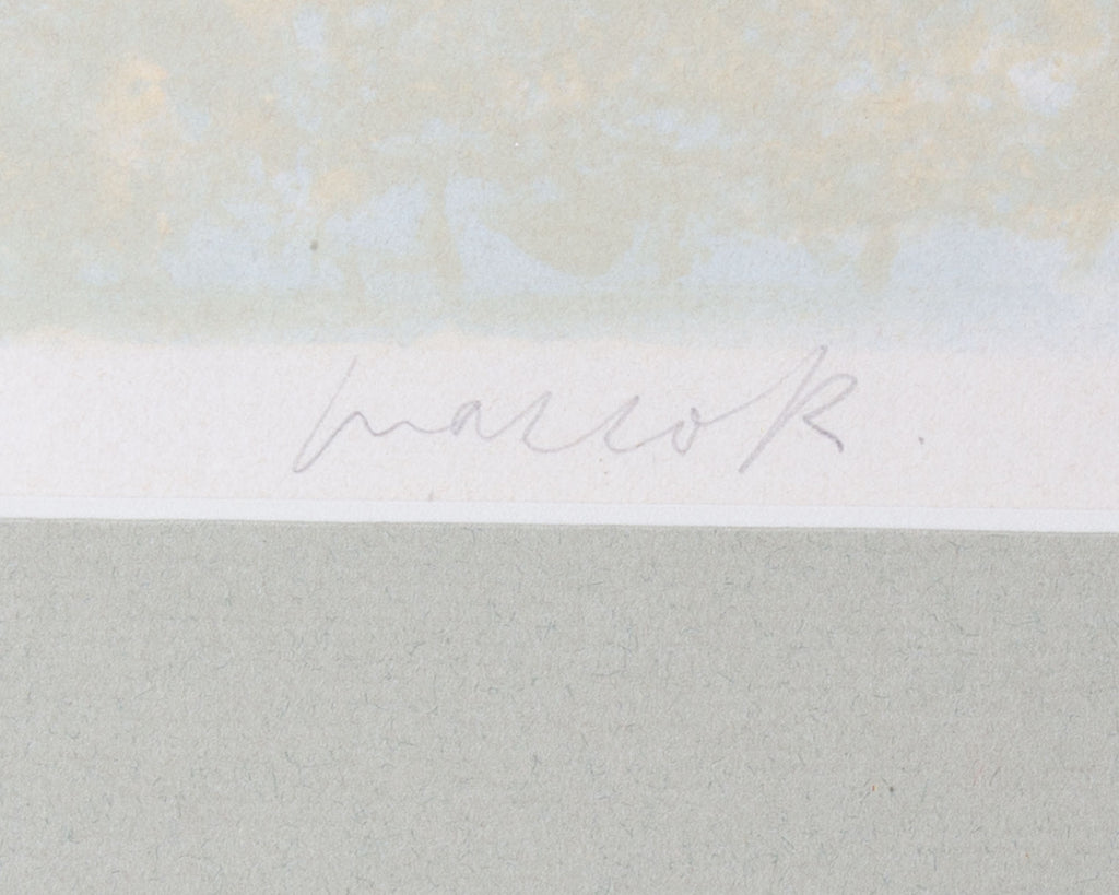 Marco Richterich Abstract Lithograph Print