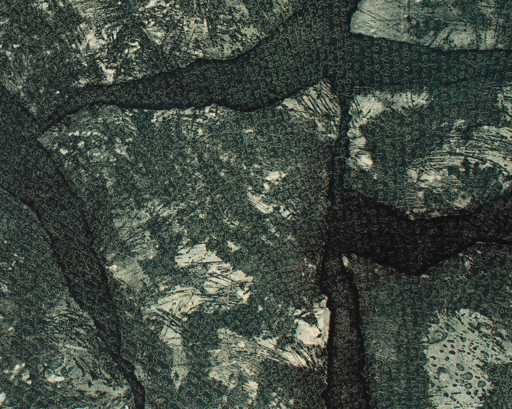 Seiko Tachibana 1995 “Earth” Etching