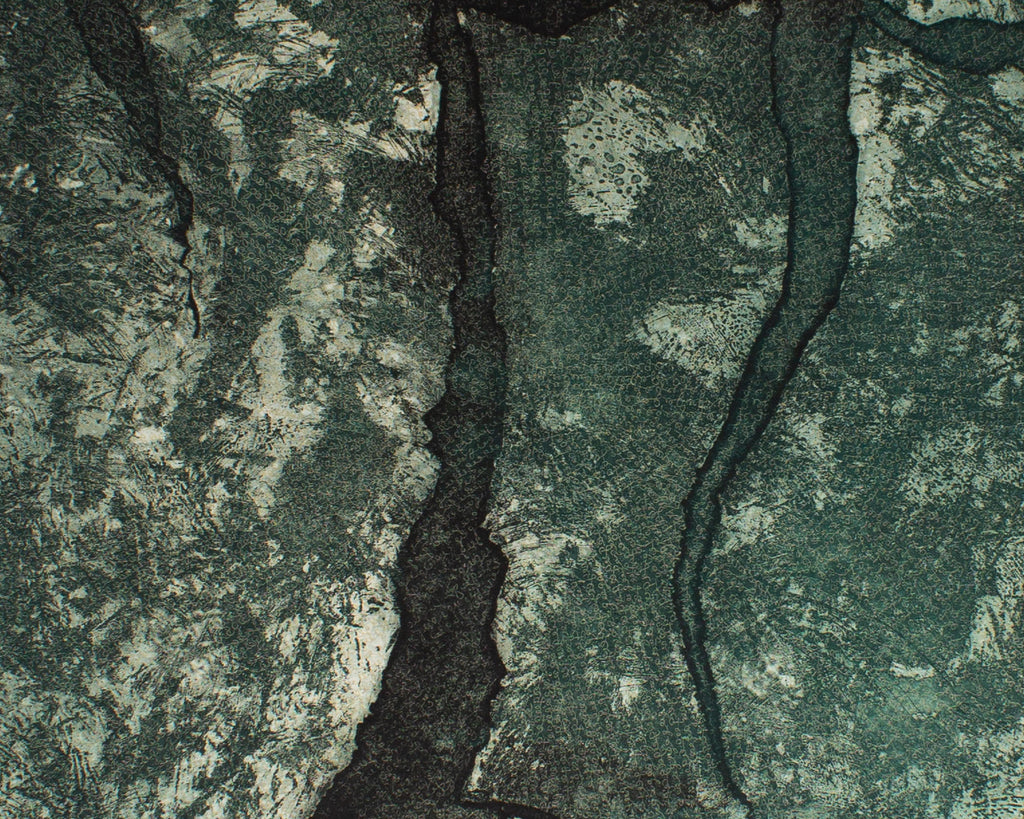 Seiko Tachibana 1995 “Earth” Etching
