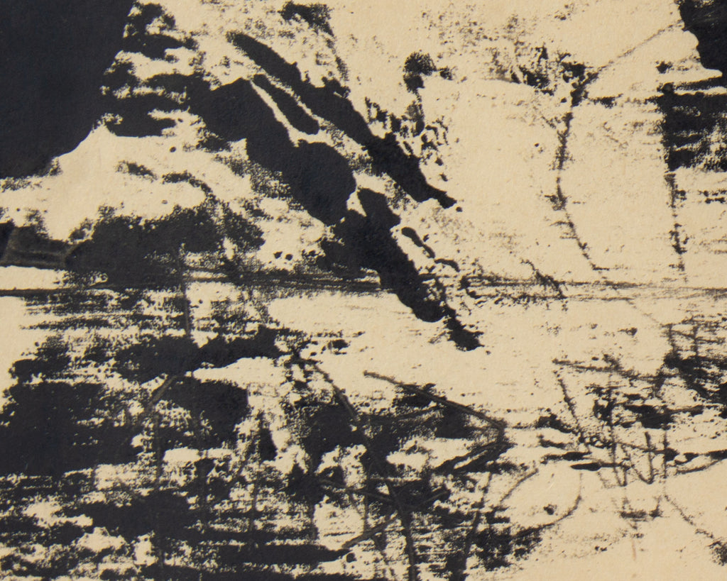 Barbara Houseworth Rogers Abstract Ink Painting