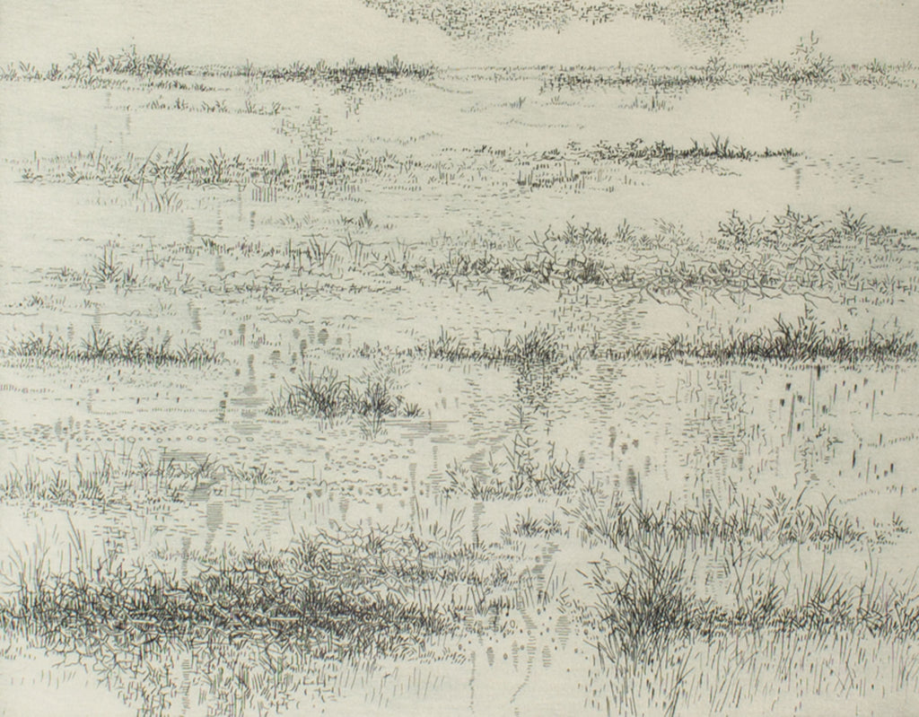 Gabor Peterdi 1967 “Marshes in Winter” Abstract Etching