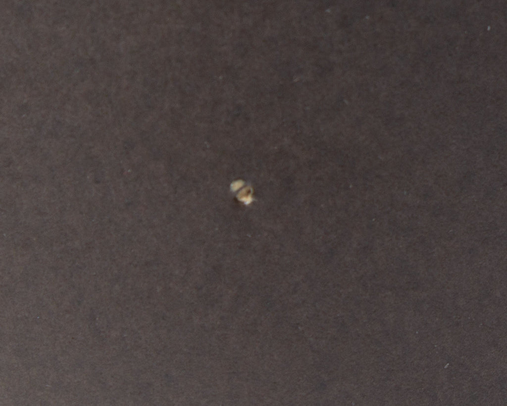 Jane and Gordon Martz Marshall Studios Table Lamp