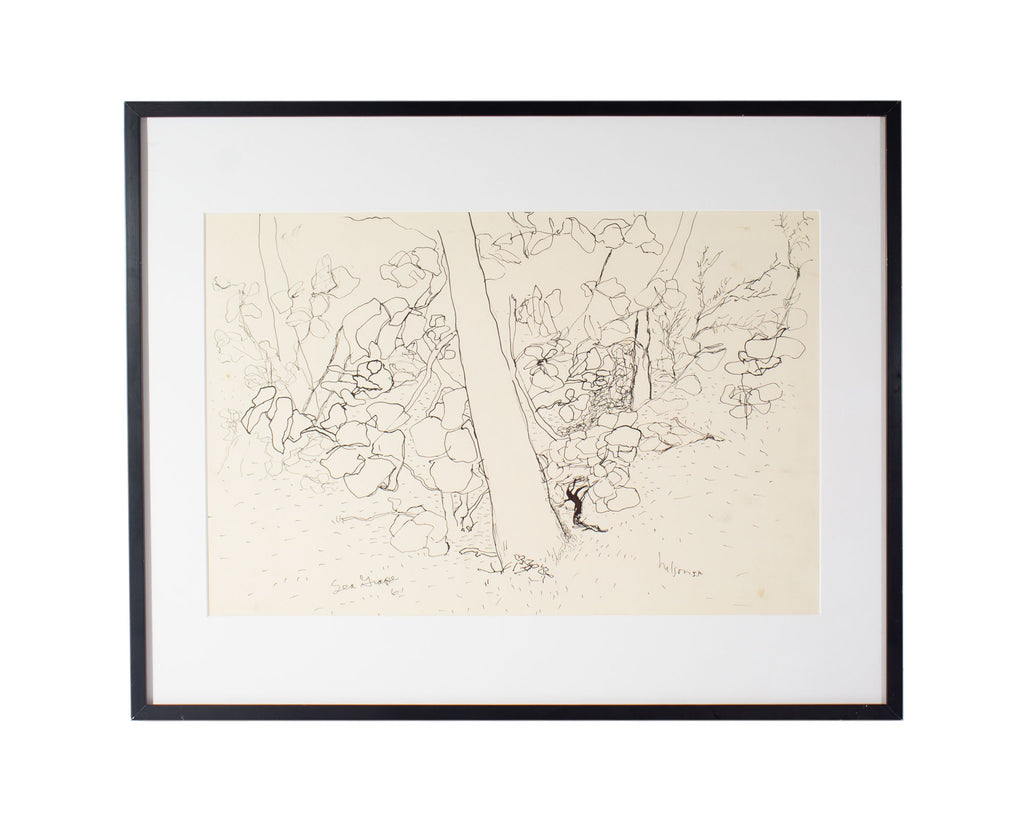 Harry Hilson 1961 “Sea Grape” Ink Drawing