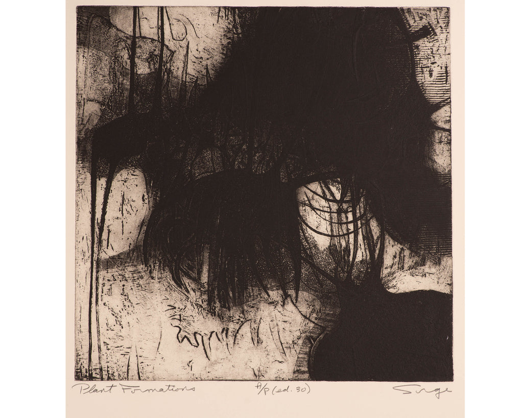 Walter Sorge Signed "Plant Formations" Artist's Proof Etching