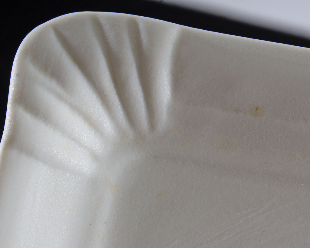 Rosenthal Do Not Litter Bisque Porcelain Rectangular Plate